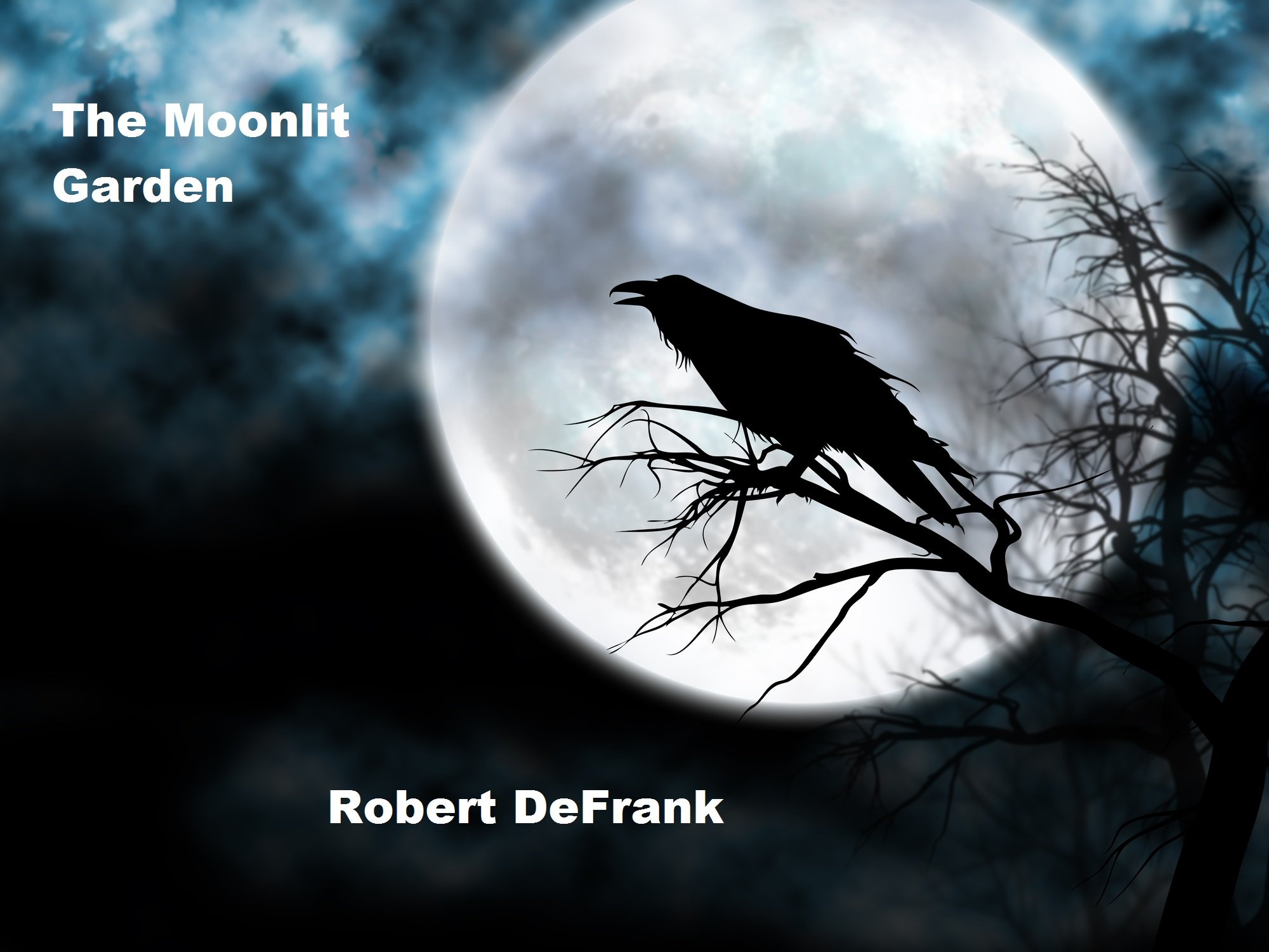 The Moonlit Garden

Amazon.Com Rank: N/A

Click here to learn more or buy it now!