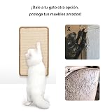 Ver la foto 3