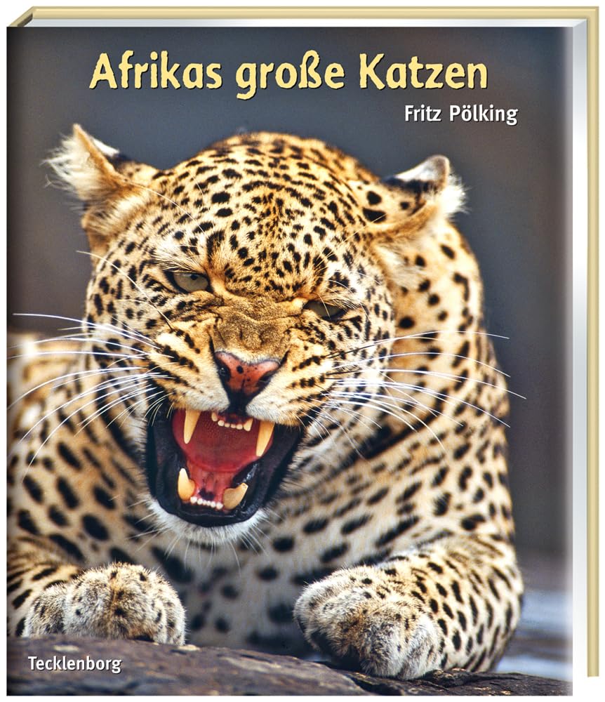 Afrikas grosse Katzen: Gepard, Löwe, Leopard