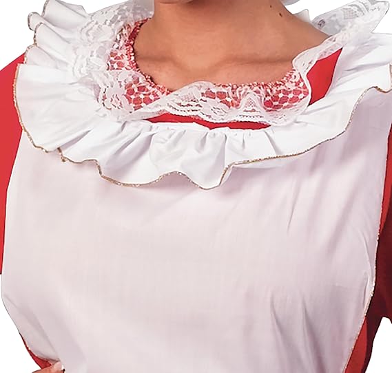 Fun World Costumes Women's Adult Mrs.Claus Promo Suit