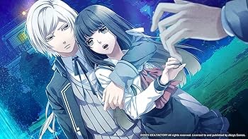 Norn9: Var Commons - Standard Edition (Nintendo Switch) : Amazon