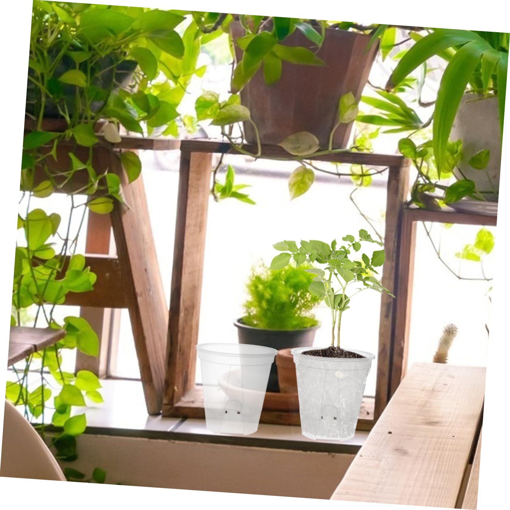 BESPORTBLE 6 Pièces Bassin De Montagne Vert Transparent Jardinières Auto-drainantes D'intérieur Pots De Pépinière Pot De Fleur Transparent Citrouille Pots De Fleurs avec Drainage Pot Clair PP