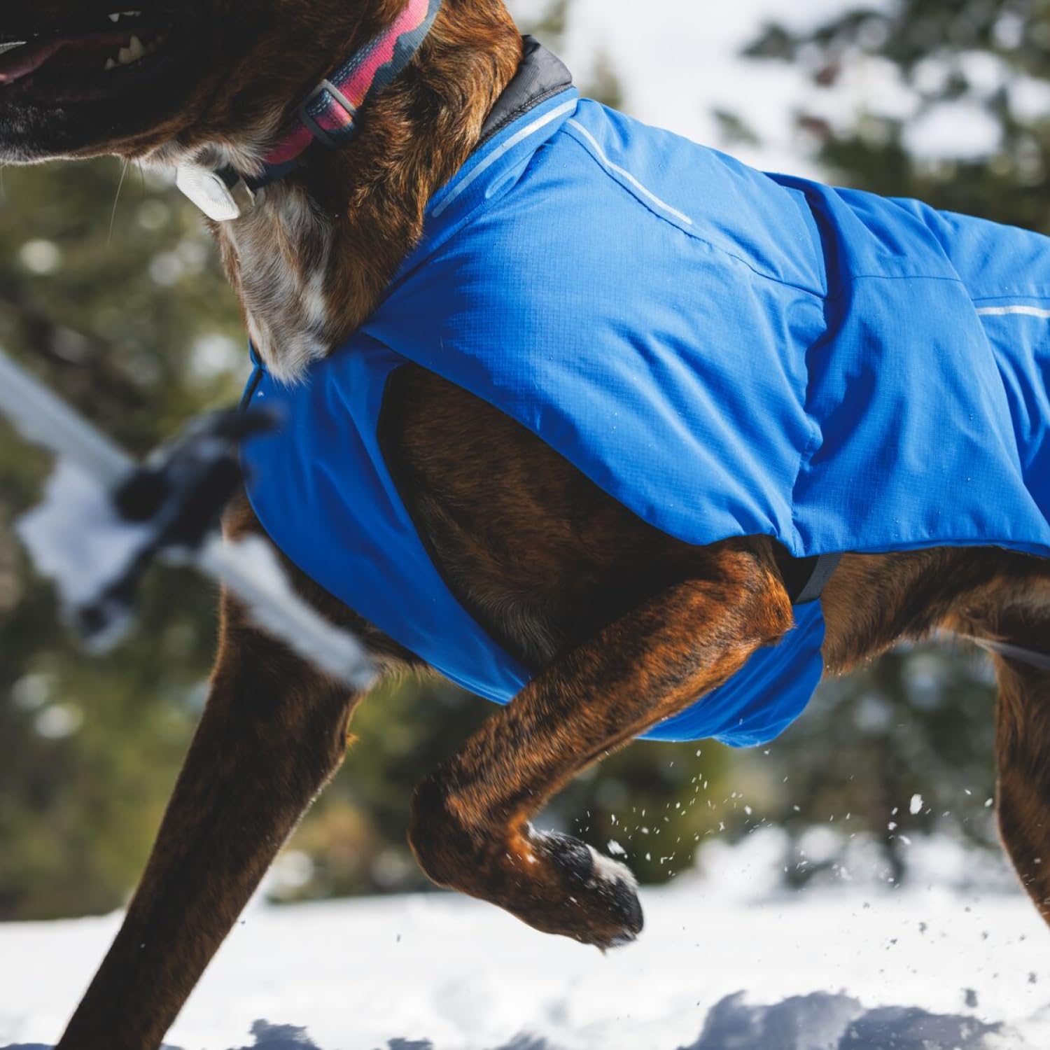 RUFFWEAR Vert Regenjacke für kleine Hunde, isolierter Allwetter-Hundemantel, wasserdichte Hundejacke, leichte wetterfeste Hundeweste und Winter-Hunderegenmantel, Größe S, Mineralgelb