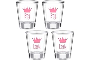 Sisterly Bonding Shot Glasses: The Perfect Gift for Big & Little Sisters