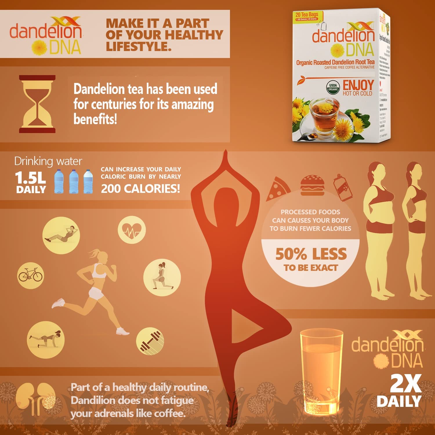 MATCHA DNA CERTIFIED USDA Organic Roasted Dandelion Root Tea Individually Wrapped Tea Caffeine Free Bags (20 Teabags)