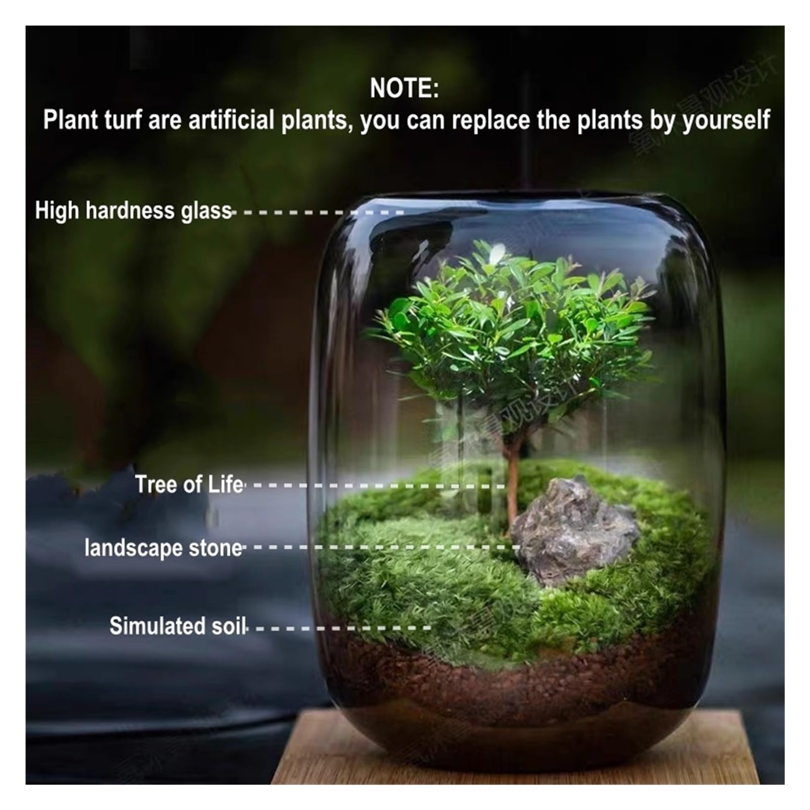 Albero della Vita Pianta Ornamentale Contenitore di vetro LED Set di luce di crescita, con supporto in metallo Base di legno, possibilità di collegare piante artificiali, Adatto per camera da letto, s