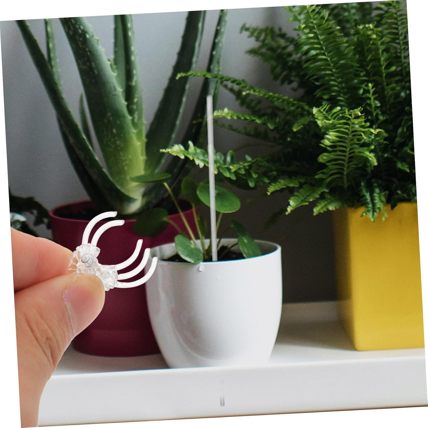 Mipcase 5sets Acrylic Plant Stakes Clips of Support Sticks for Climbing Plants Garden Trellis for Indoor and Outdoor Use Promotes Healthy Growth