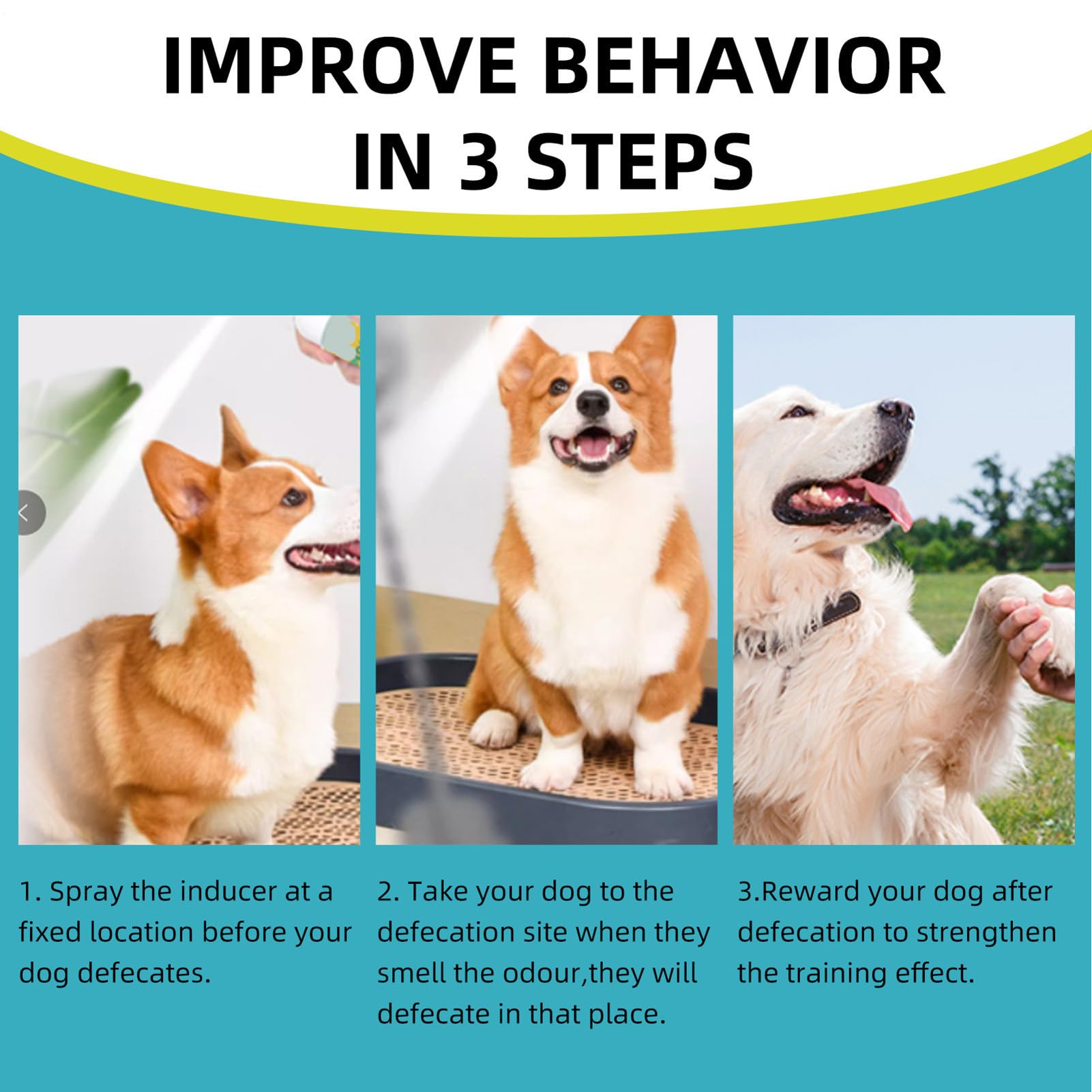 Spray d'apprentissage de la propreté – Spray attractif d'urine pour chien, aide à l'apprentissage de la propreté des chiots | Formule inodore de 150 ml pour une utilisation en intérieur et en