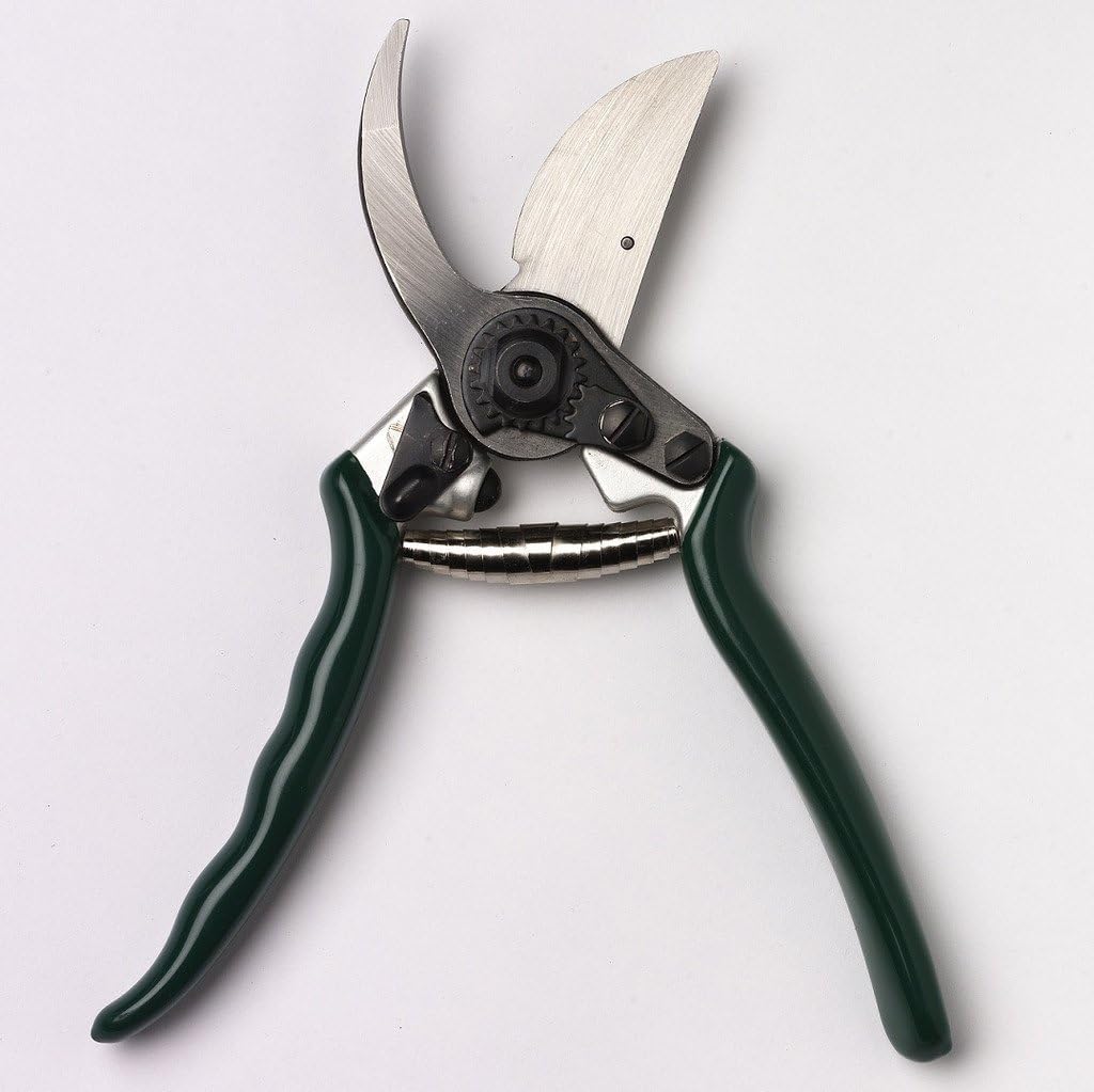 Burgon & Ball Sécateur Bypass Professionnel GTO/PRB RHS Amazon.fr Jardin