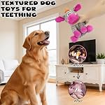 Jouets de chien farcis, Jouet à mâcher pour les grandes races moyennes, Jouets en peluche pour les garder occupés, Jouon de chien dentition pour chiot, Jouette de chien à friser (Pink Donkey)