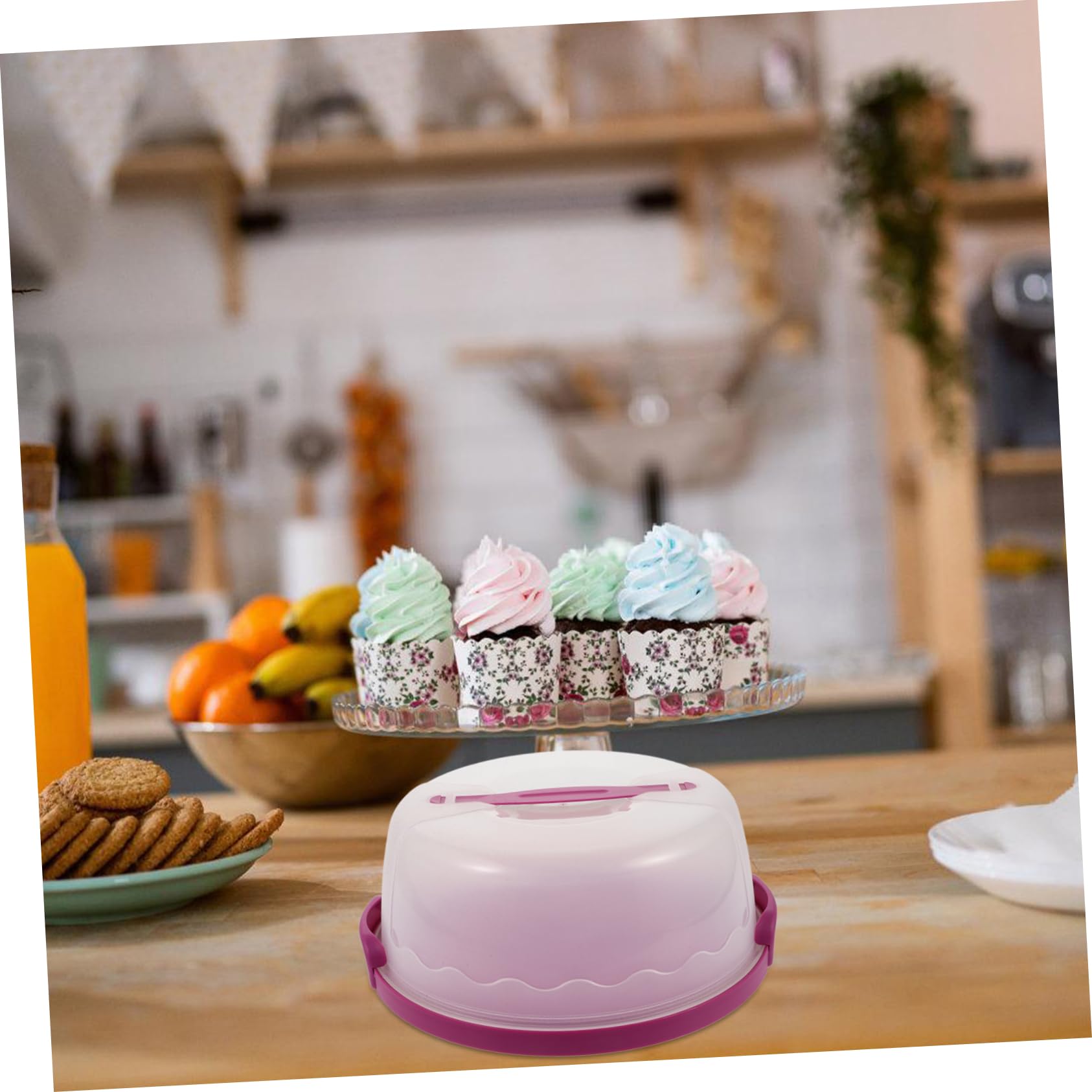 Coloch 3-in-1 Kuchenträger Mit Deckel – Für 25,4 Cm Kuchen, 11 Cupcakes Oder 15 Teufelseier | Aus Kunststoff, Mit Griff