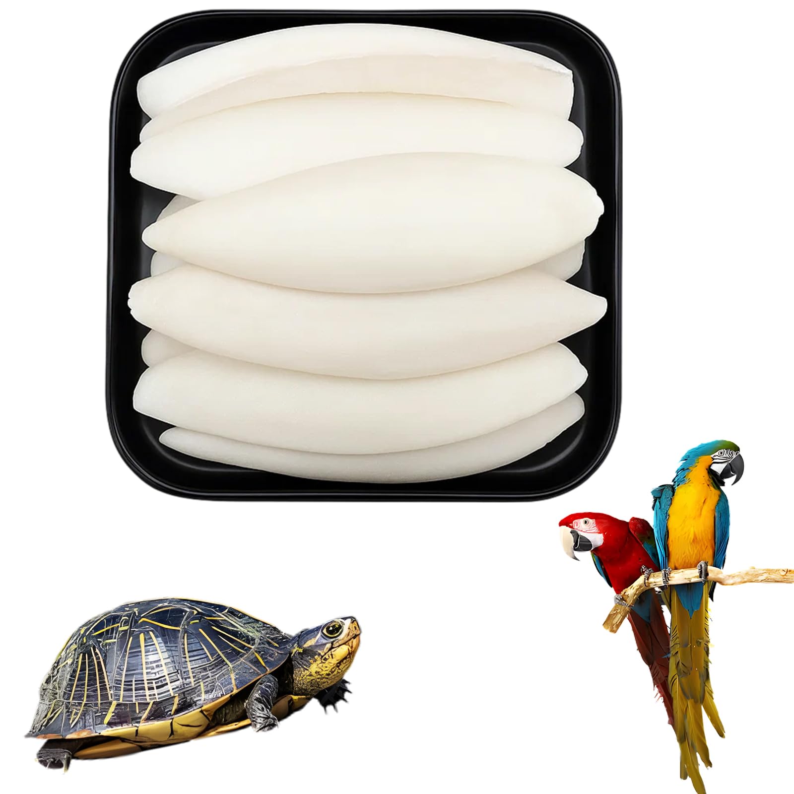 GYTFOG 12 Pieces Cuttlefish Bone for Birds and Tortoises, Natural Cuttlebone for Pets, Calcium Supplement for Beak and Shell Health, 4 Size Variations for Different Pet Needs
