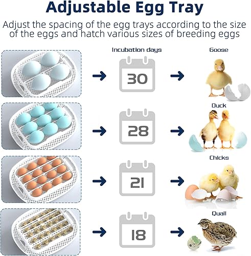 Miniatura 2 de Incubadora de huevos 16 incubadoras para incubar huevos con torneado automático de huevos vela de huevos y adición automática de agua para incubar