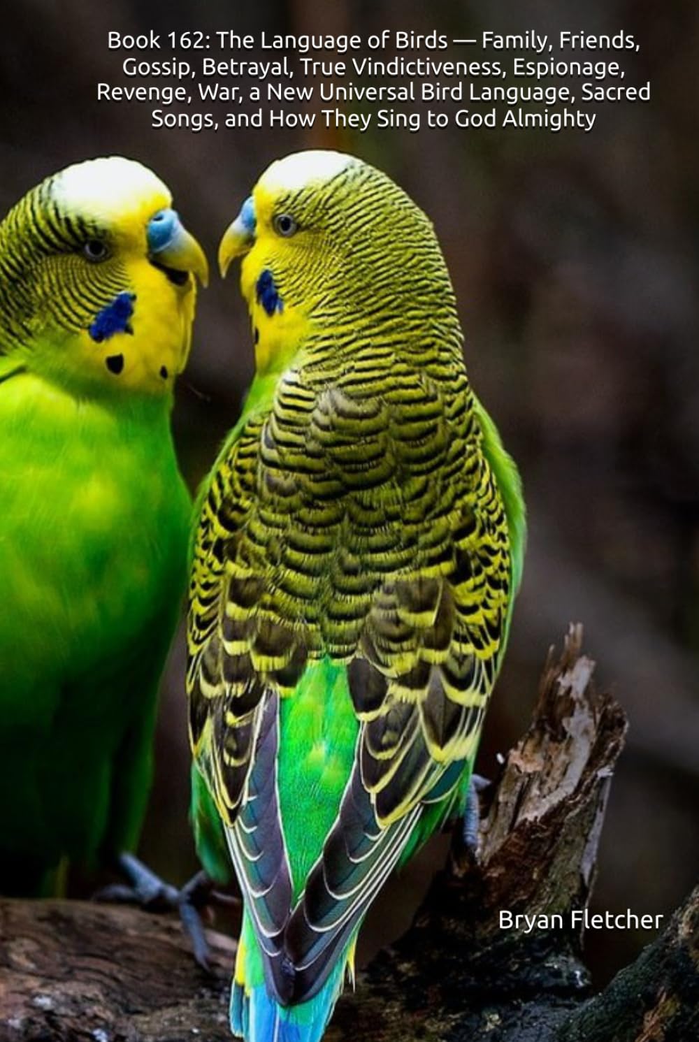 Book 162: The Language of Birds — Family, Friends, Gossip, Betrayal, True Vindictiveness, Espionage, Revenge, War, a New Universal Bird Language, Sacred Songs, and How They Sing to God Almighty