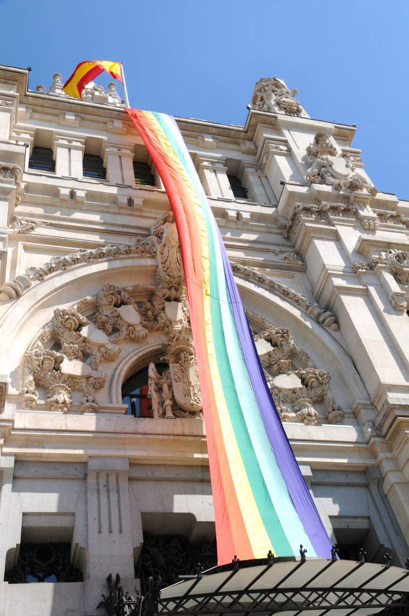 Durabol Rollo Bandera de Arcoíris Orgullo Gay LGBT 0.9x45 Metros (Rollo de Arcoíris)