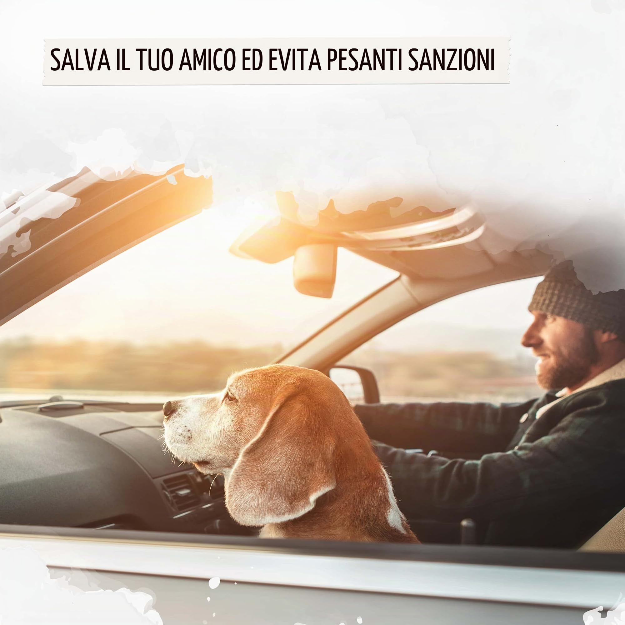 Rudelkönig Cintura auto per Cani - Elastica e regolabile - Cintura di Sicurezza Cani Auto - Cintura per cani auto compatibile con Tutti i Tipi di Auto