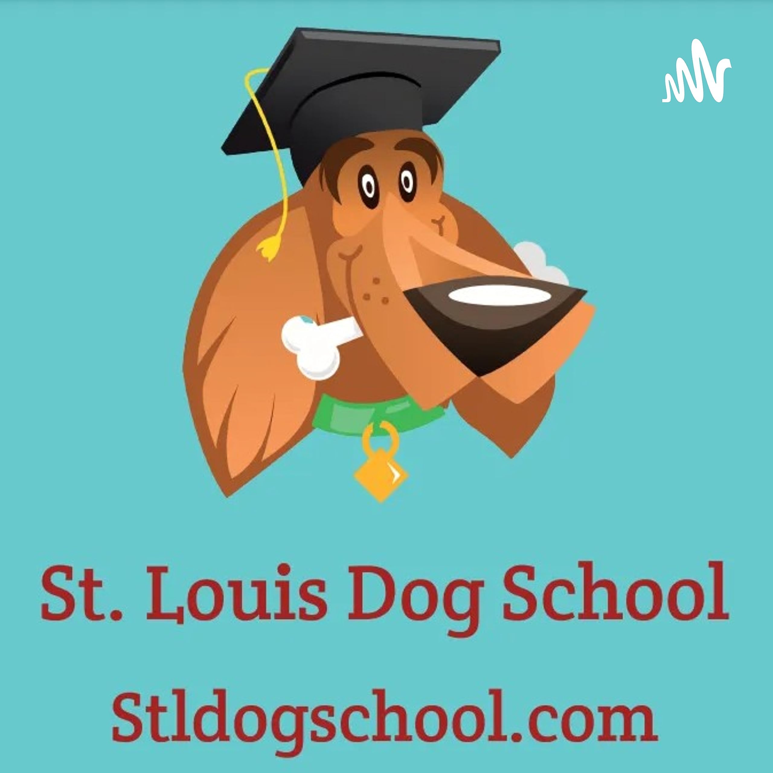 The St. Louis Dog School Podcast