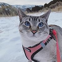 Vista 7 de Best Pet Supplies - Arnés de malla para todo tipo de clima, reflectante, antitirones, para perros y gatos pequeños y medianos, con velcro, hebilla