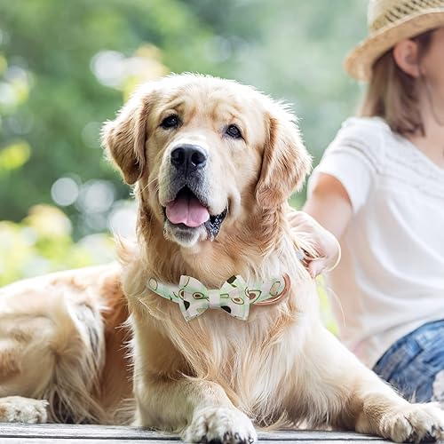 Miniatura 2 de Juego de collar y correa para perro con pajarita de flores, collar de perro para niñas, etiqueta de perro con hebilla de metal ajustable para perros