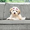 Product Photo 5
