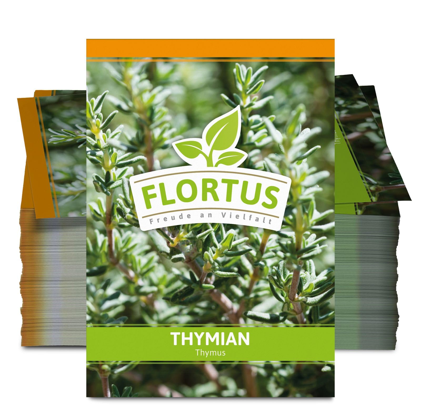 FLORTUS 2000-0048-100x Thymian (100 Tütchen) (Thymiansamen)