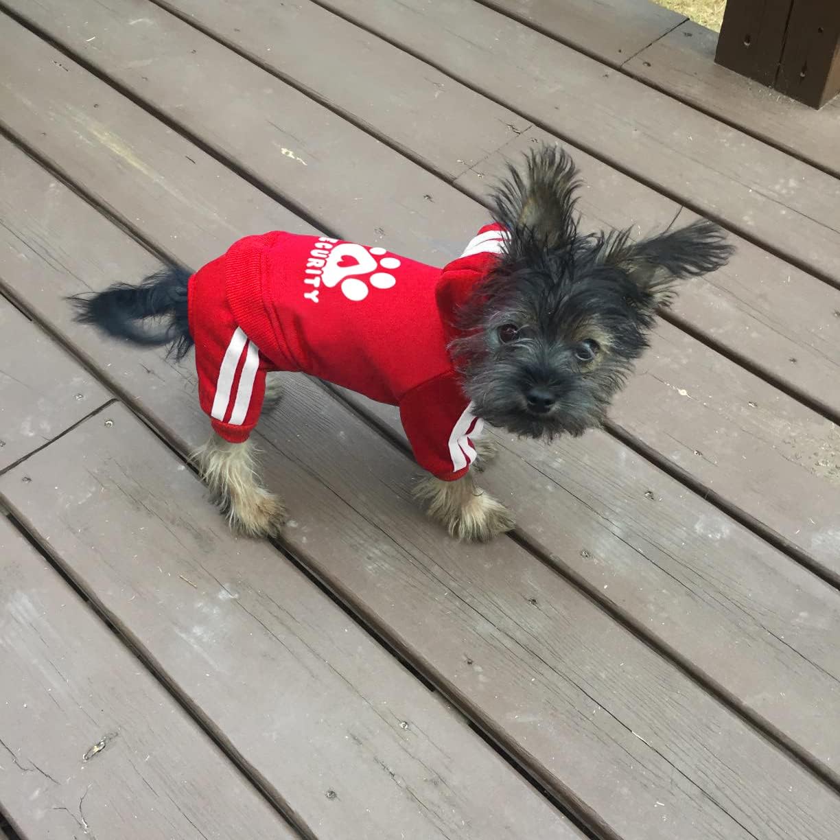 Dolahovy Dog Hoodie Pet Clothes Apparel Soft Security Hoodies Autumn Winter Puppy Jumpers Fleece Cotton Dogs Jacket Coats Dog Outfit for Chihuahua Teddy Dogs Cats Small Medium - Image 5