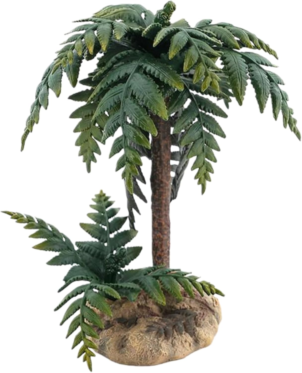 TNG Alsophila Spinulosa Wild PlantCollector Scene Decoration Gift