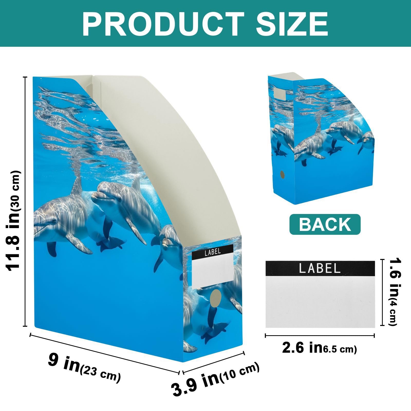Liscio PP Cartoon Delfino Blu Portariviste File