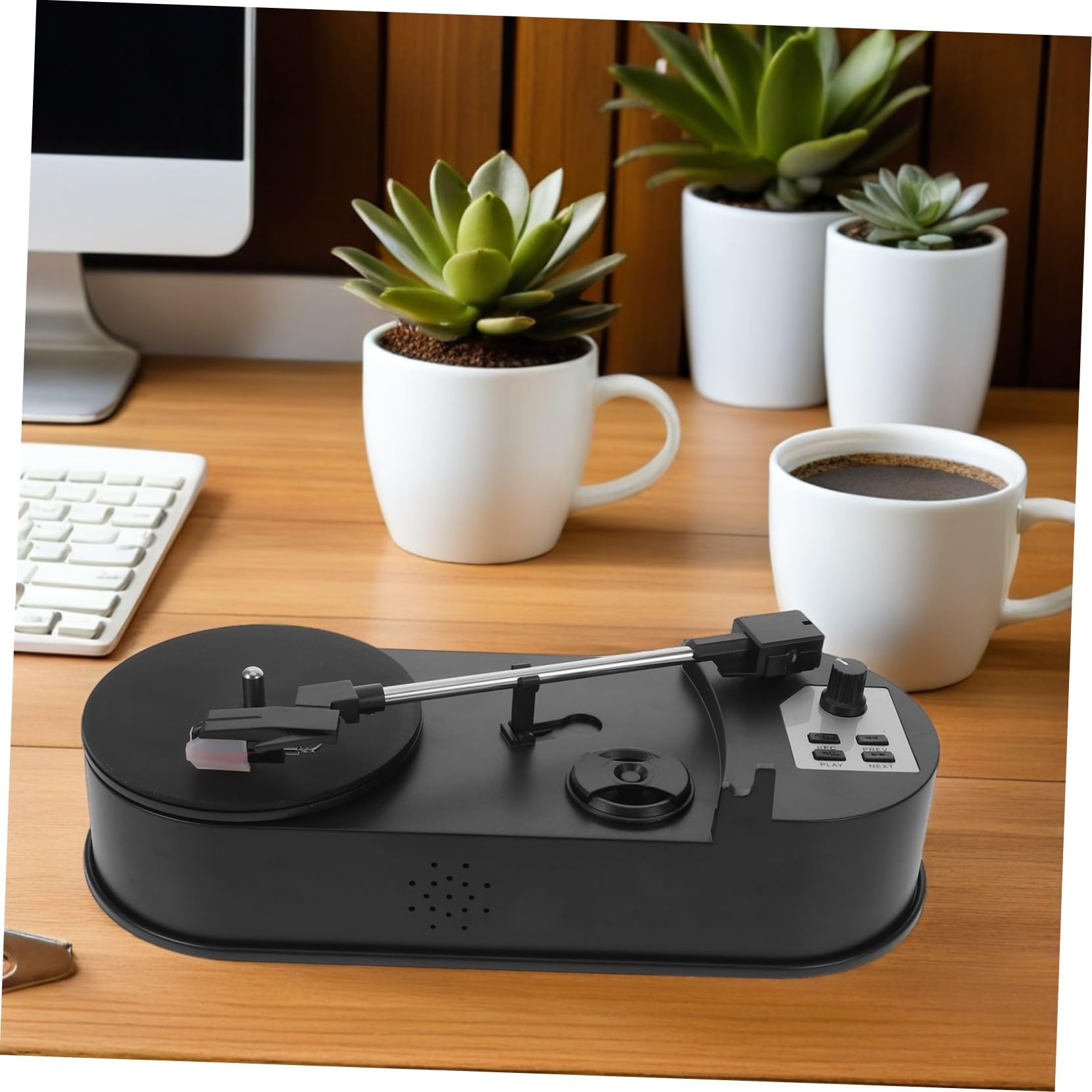 VANZACK Gira Dischi in Vinile con Altoparlante Convertitore per Giradischi Retrò Riproduttore di Dischi in Stile Vintage Impianto Audio per Collezione di Vinili