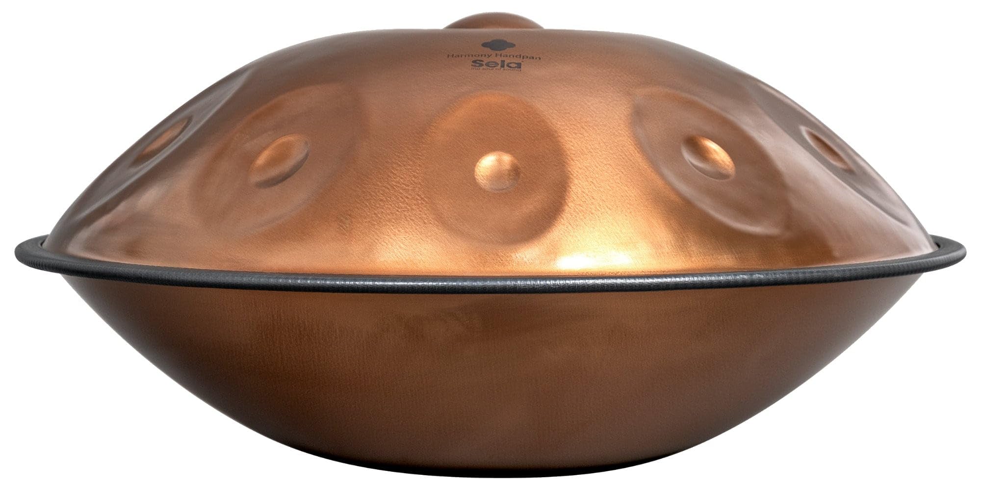 Harmony Handpan D Amara 10 Phoenix Steel