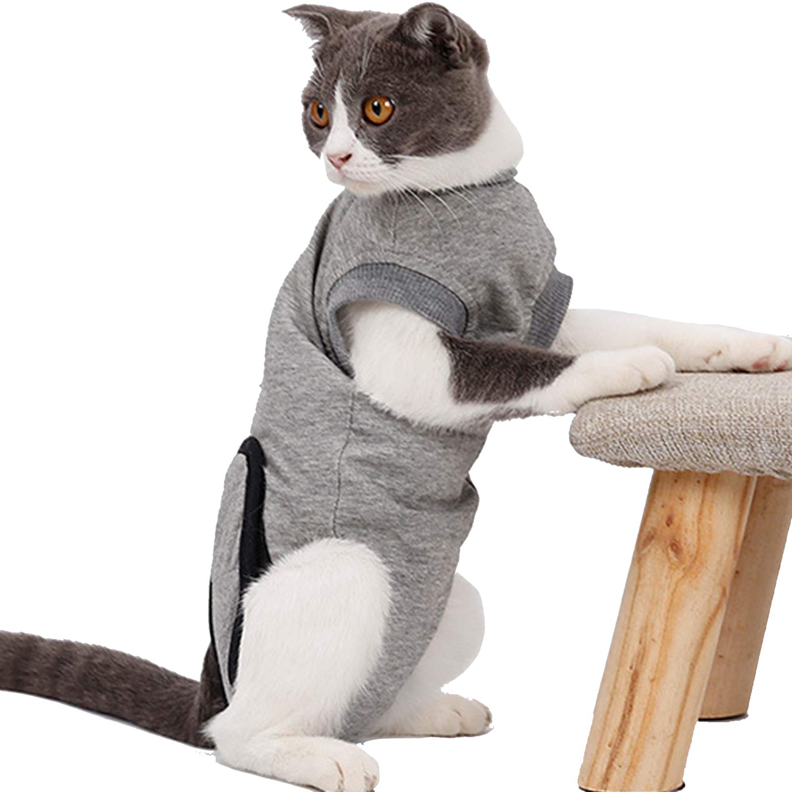 Tuta Da Recupero Professionale Per Gatti Per Ferite Addominali O Malattie Della Pelle, Abbigliamento Domestico Per Animali Domestici Colletto Elettronico Gilet Alternativo Per Gatti Per Cuccioli