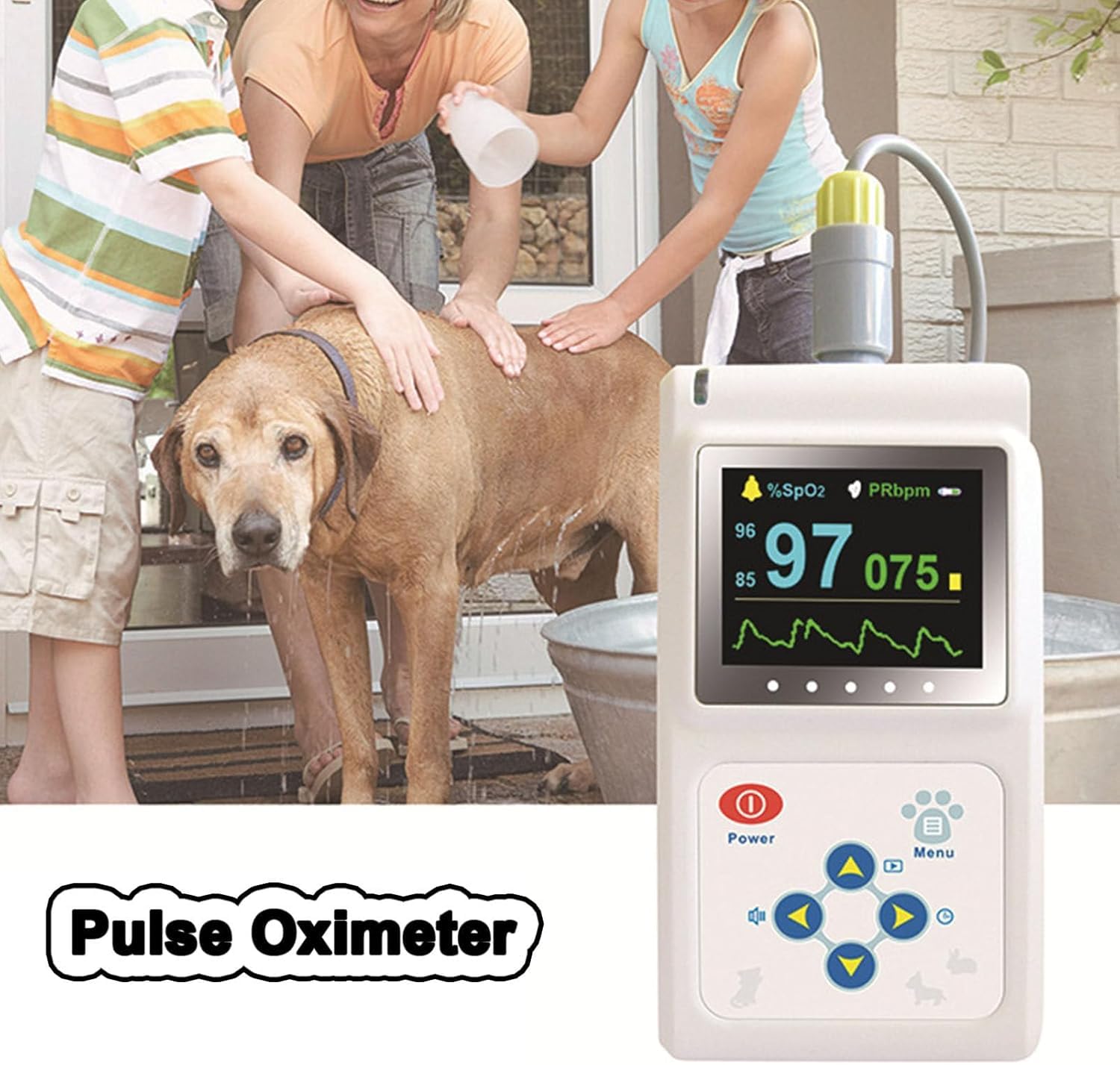 Pulsossimetro Veterinario, Apparecchiatura Digitale Portatile Per Pulsossimetro Animale, Sensore Orecchio/lingua, Monitor Della Frequenza Del Polso SPO2, Per Cani E Gatti Da Compagnia Sonda Linguale