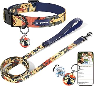 Dog Collar and Leash Set with QR ID Tag, 5 FT Leash, Dark Blue, S
