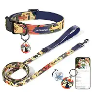 Dog Collar and Leash Set, QR Tag Adjustable Pet Collar, 6 FT Heavy Duty Dog Leash, Padded Handle, Quick Release Buckle, Metal Ring, 360° Swivel Clip for Large Dogs Walking Running (Dark Blue, L)