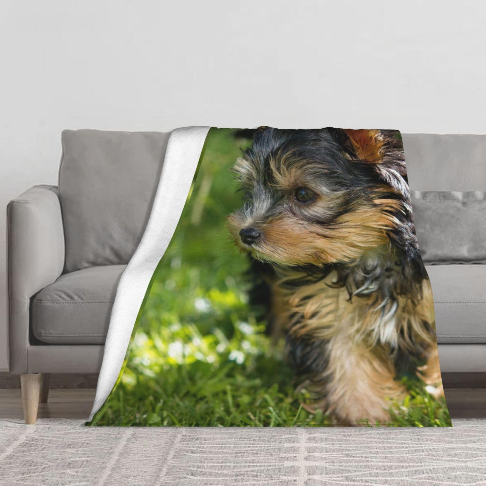 Couverture en flanelle Yorkshire Terrier sur herbe verte - Plaid douillet 152x127 cm