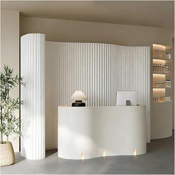 Folding Partition Walls Accordion Room Divider for Clothing Stores, Businesses, Shops, Exhibitions, Live Streaming Backdrop Installations160x28x300 cm