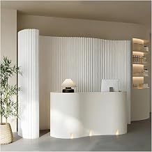 Folding Partition Walls Accordion Room Divider for Clothing Stores, Businesses, Shops, Exhibitions, Live Streaming Backdrop Installations160x28x300 cm