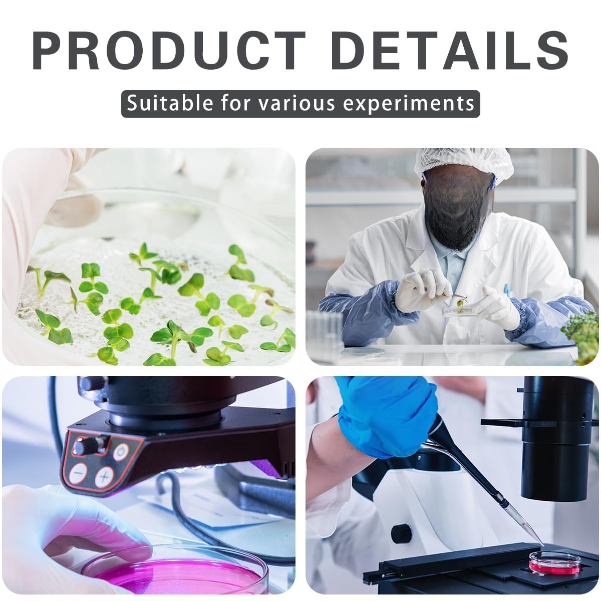 10 placas de Petri cuadradas de 13 mm × 13 mm - Placas de Petri de plástico con tapa, aptas for análisis de cultivos de laboratorio