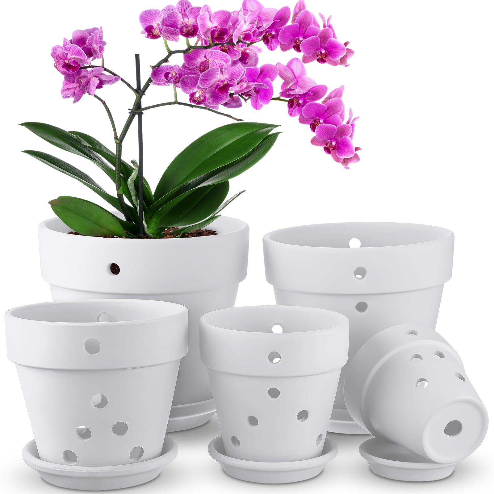 Remerry 5 Pcs Orchid Pots with Holes and Saucers 4/5.1/5.9/7.1/7.9 Inch Terracotta Pots with Drainage Holes and Saucers Indoor Outdoor Small Clay Pots for Plants Mini Flower Herb Succulents (White)