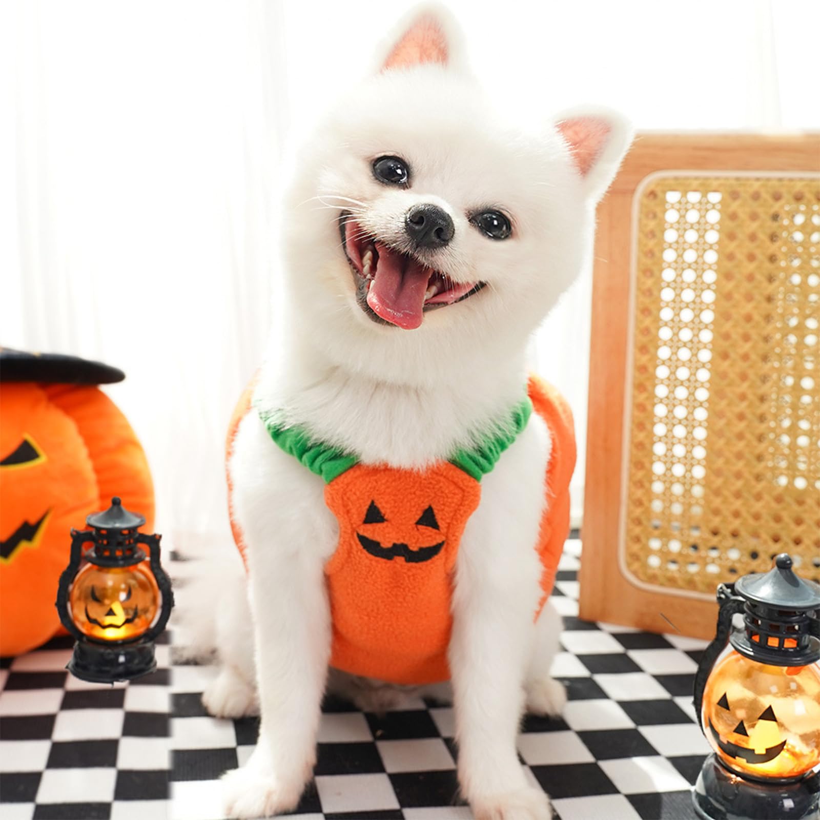 Amazon | 犬 ハロウィン コスチューム かぼちゃ コスプレ 仮装 犬の服 