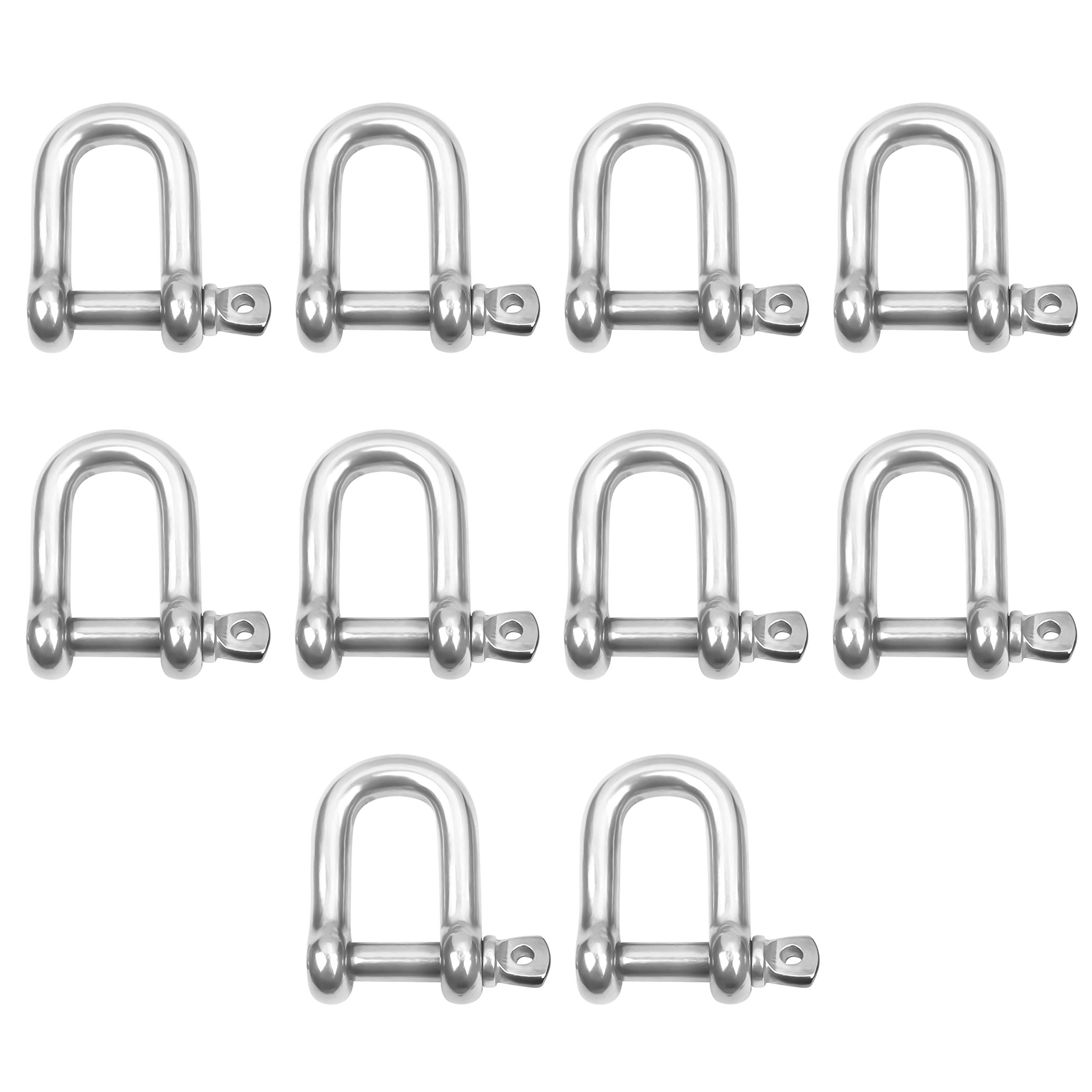 Buy Belle Vous Stainless Steel M6 D Ring Screw Shackles with Pins (10