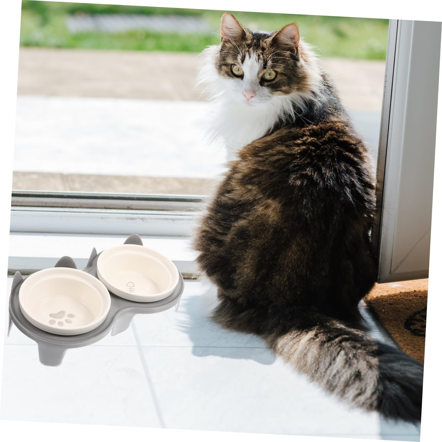 Milisten Gamelle pour Chat en Céramique à Double Bol Surélevée et Inclinée