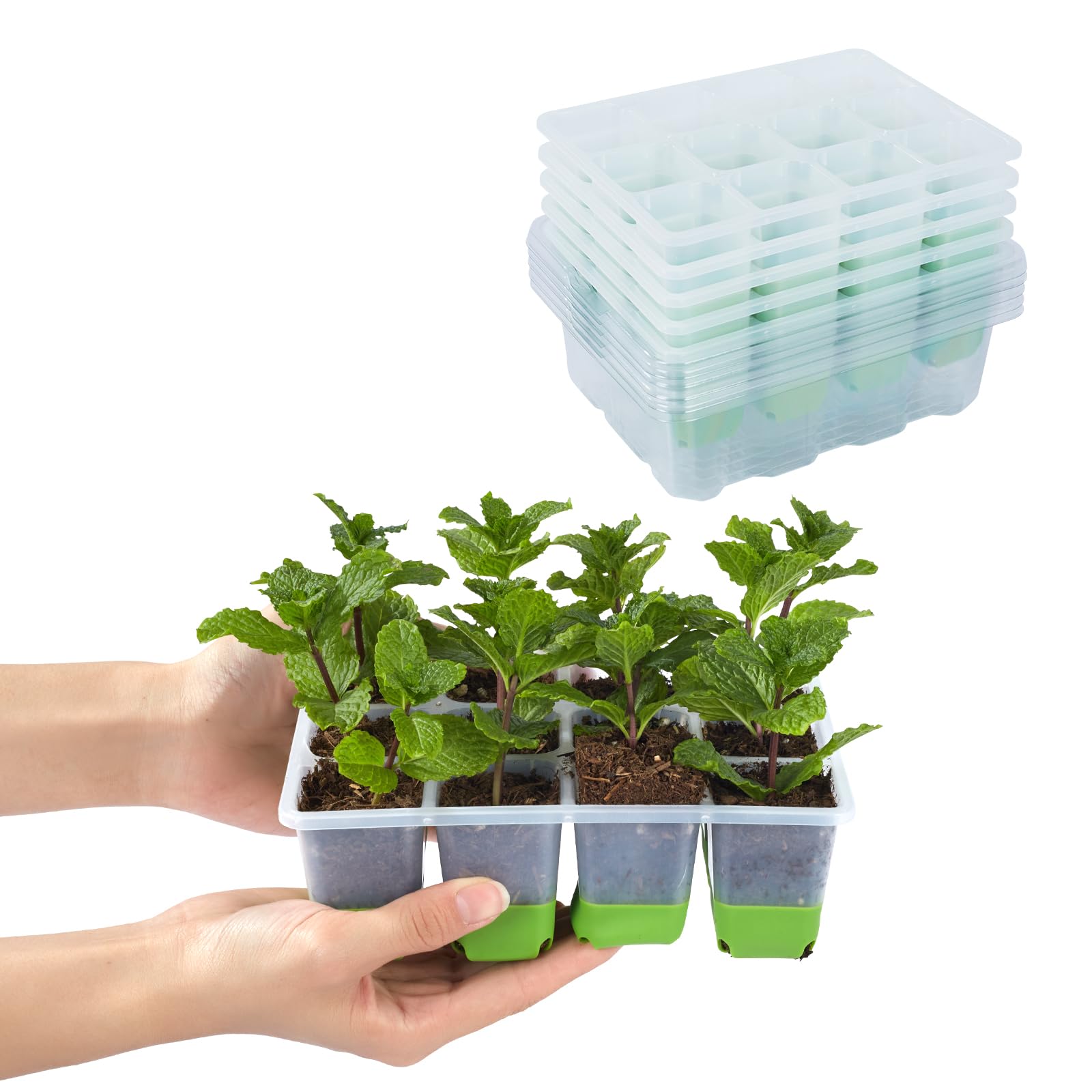 Backyard Expressions 5-Pack Silicone Seed Starter Kit