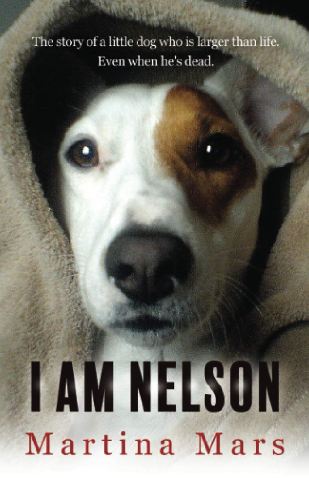 I AM NELSON: The story of a little dog who is larger than life. Even when he's dead.: 1