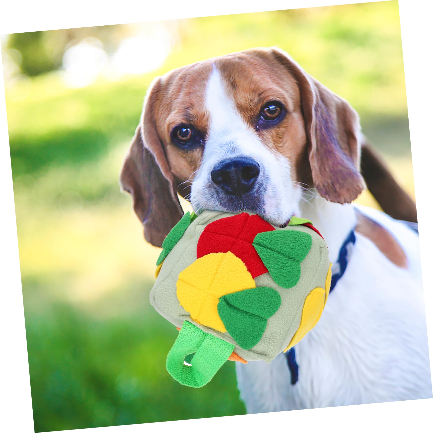 Beavorty 3stücke Hund Schnüffelball Futterspender Für Interaktive Fütterung Kauspielzeug Vermeidung Von Übergewicht Spielzeug Für Haustiere Fördert Langsames Fressen Und Geistige