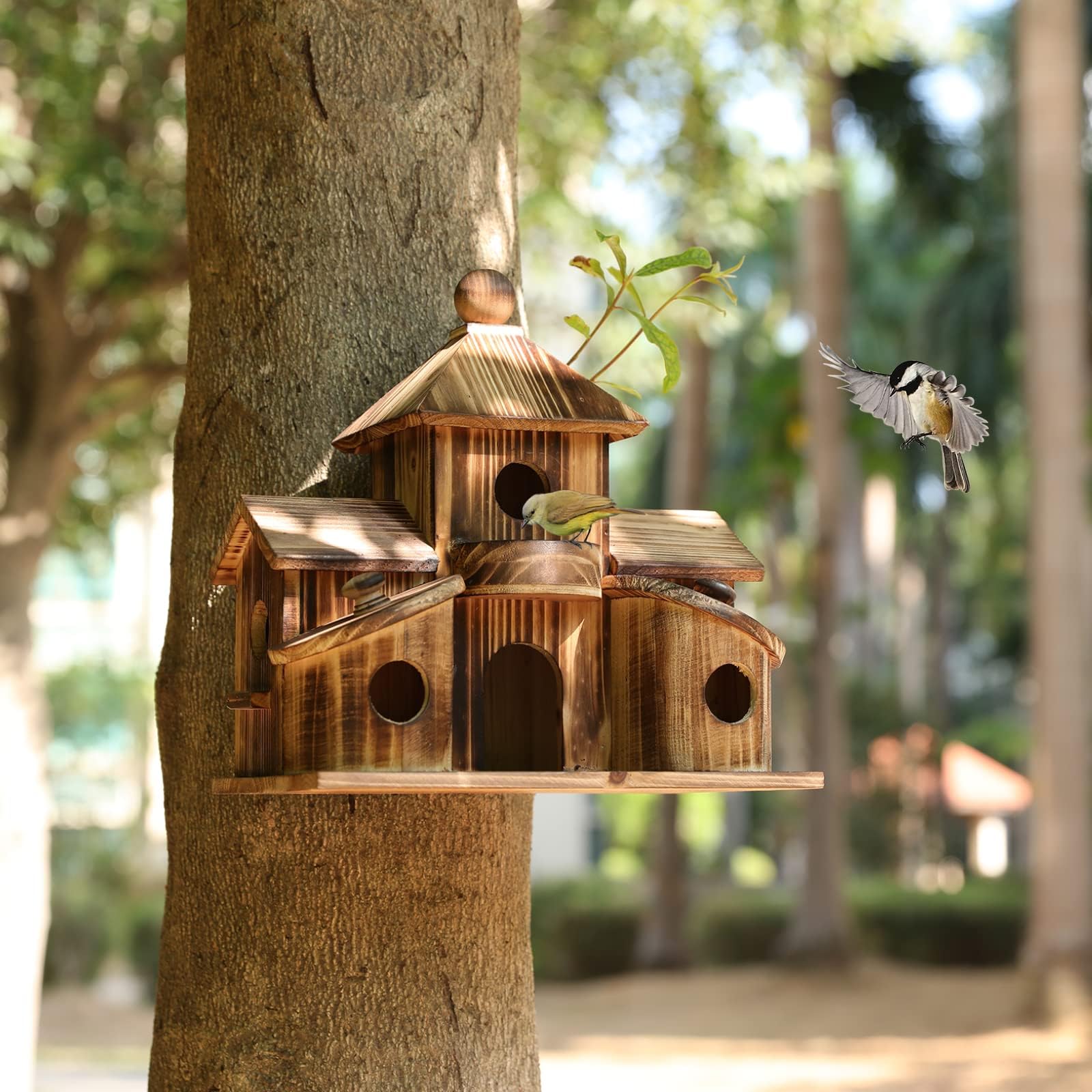 Casa para pájaros y comedero para pájaros 2 en 1. Casa para pájaros para exteriores, casa de colibrí con 6 agujeros, cardenales de pinzón azul para colgar casa de pájaros grande, caja de anidación