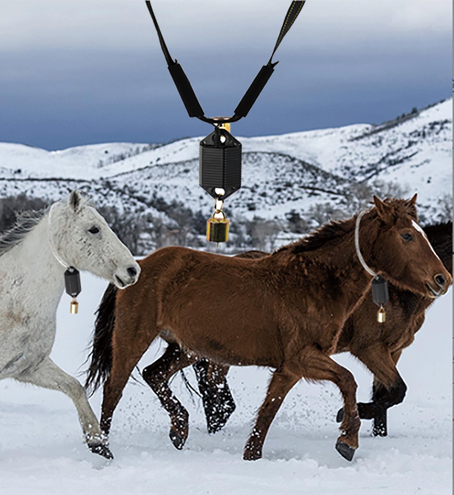 Localizador GPS de Animales, Rastreador Solar de Mascotas, Posicionamiento en Tiempo Real, Seguimiento Histórico de 90 días, para Ganado, Ovino, Caballo y Camello