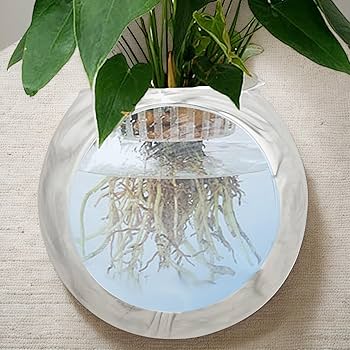 【新品未使用】花瓶　壁掛け 51P+zm2GSoL._UF350,350_QL50_.jpg