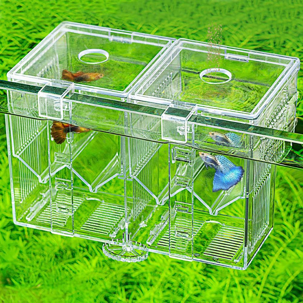 Hapihom Clear Acrylic Mini Fish Tank With Detachable Divided Compartments Beta Fish Tanks Fish Bowl For Fish Shrimp External - Image 2