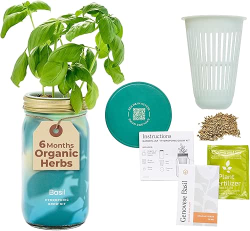 Modern Sprout Mason Garden Jar - Self-Watering Hydroponics Growing System